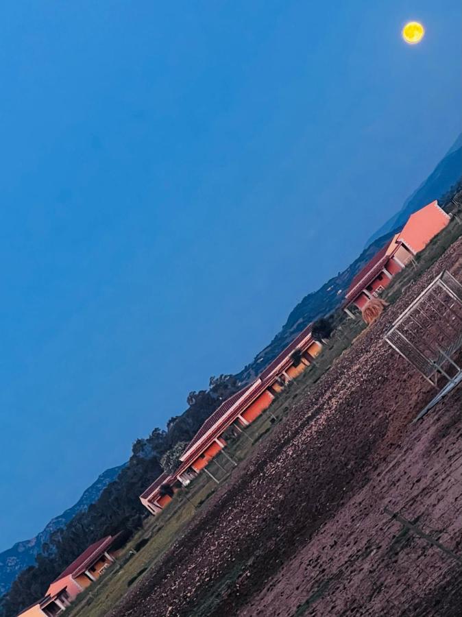 Tenute Venafiorita Loiri Porto San Paolo Bagian luar foto